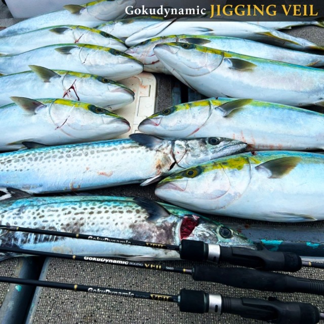 ゴクスペ ゴクダイナミック JIGGING VEIL B646(goku-962885)｜青物
