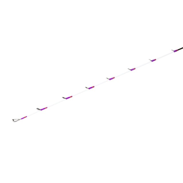 ゴクスペ ライトヒラメセット ゴクエボリューション PureVersion