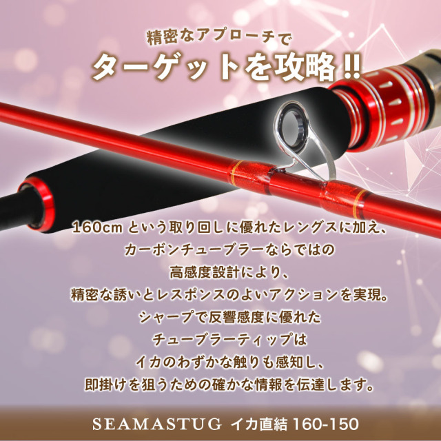 カーボン船イカ竿 シーマスタッグ イカ直結160-150＆ダイワ 25