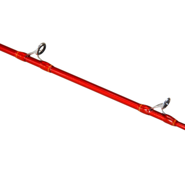 DAIWA - 船竿2本、オフショアジグ、イカ釣りセット カーボン船イカ竿 シーマスタッグ ヤリイカ160-100＆ダイワ 25