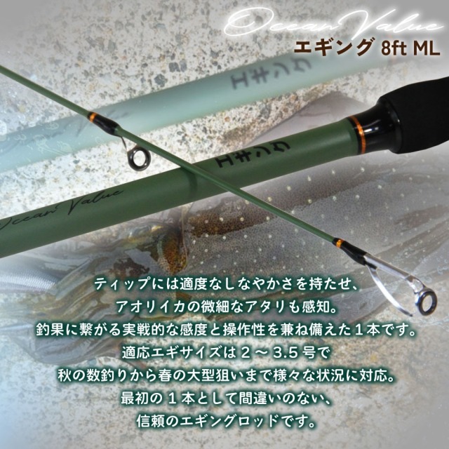 秋イカ攻略セット エギングロッド オーシャンバリュー エギング 8ft ML