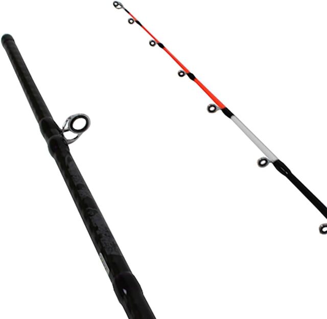 タチウオテンヤロッド　龍撃船太刀魚テンヤ　乗せ調子　新品 タチウオ竿 龍撃太刀魚テンヤ 180(solf-rg)爆買 : 船竿 沖釣り