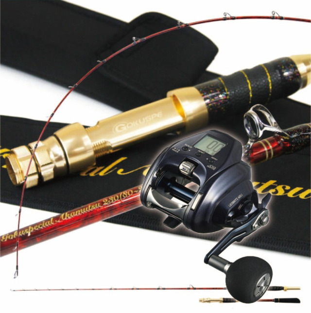 電動アカムツセット ゴクスペシャル アカムツ 230＆ダイワ 25 レオ