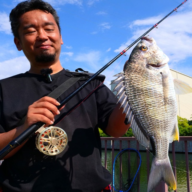 おり釣具 ヘチ釣り240セット フライデー 黒鯛ヘチ 240 ＆ フライデー