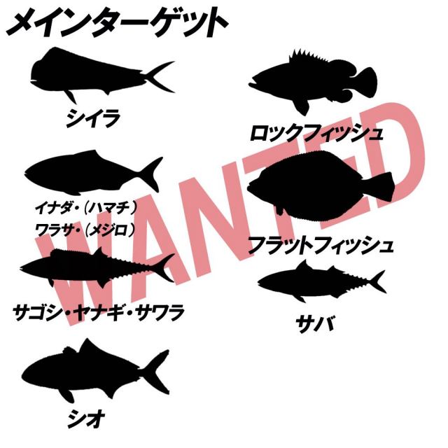 アウトレット】LIGHT SHORE JIGGING PURE VARSION 96LSHJ (out-in-90320)