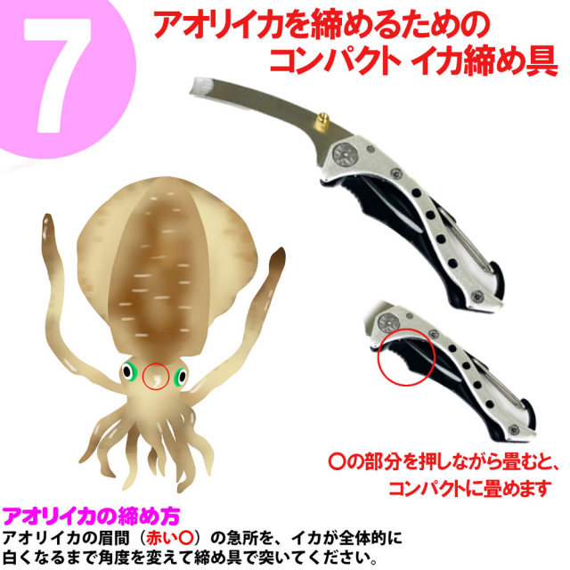 釣り場に直行 イカギャフ付き エギング入門7点 フライデーエギング パーフェクトセット Sip Egingset 017 釣具用品おり釣具