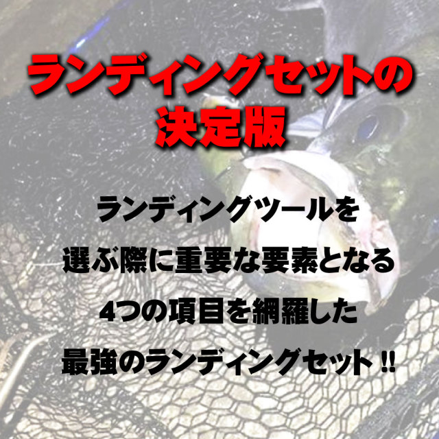 ランディング3点セット BLUE LARCAL 玉ノ柄500+ランディング