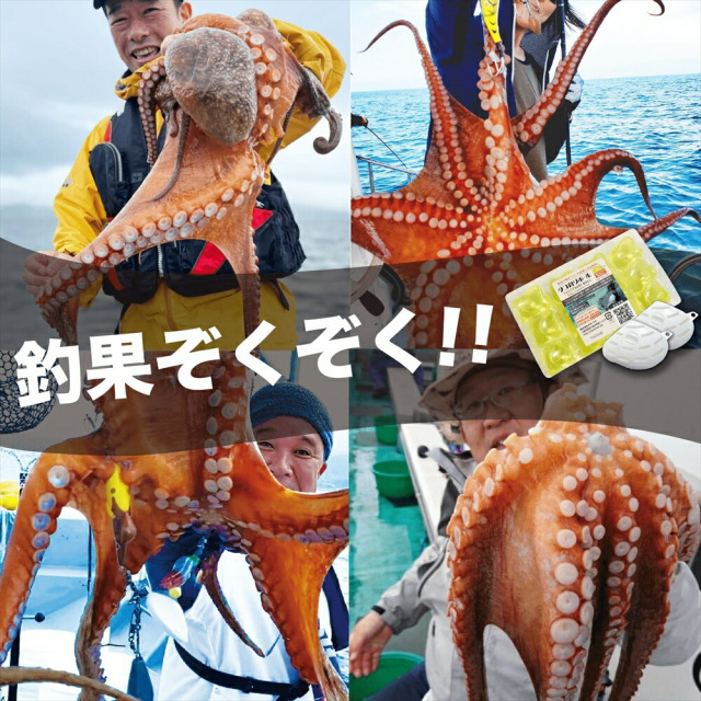 タネ・マキ タコ釣りボール おすすめパック 30粒+専用容器2個(tane