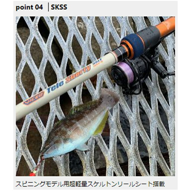 ビセオ　VICEO テレショーティー　55LT krxhhkj.jpg