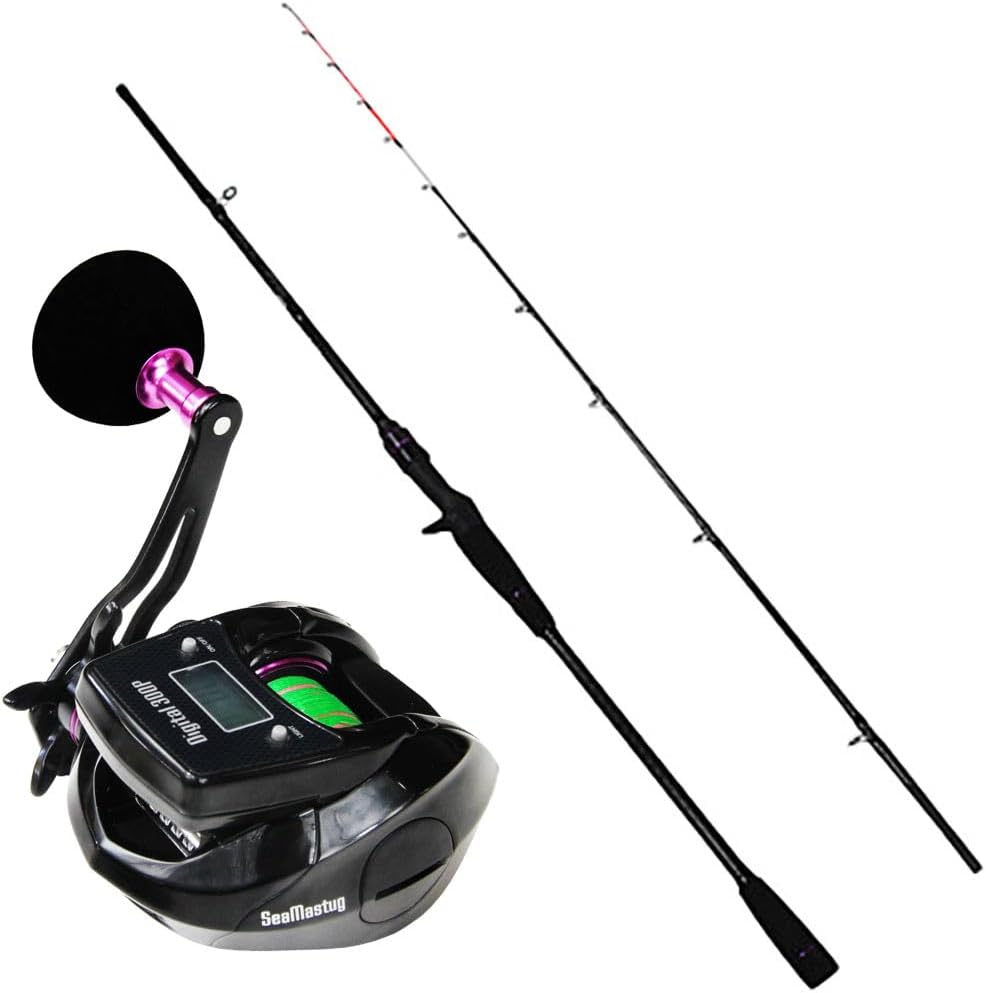 すぐに使える！デジタル龍撃船タチウオ釣りセット龍撃太刀魚テンヤ 180乗せ＆SeaMastug Digital 300P（ori-funeset056）