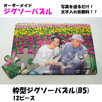 枠型ジグソーパズル B5 12ピース