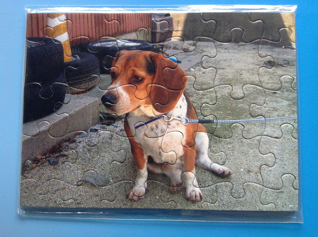 2lサイズ 30ピースジグソーパズル パズルメーカー