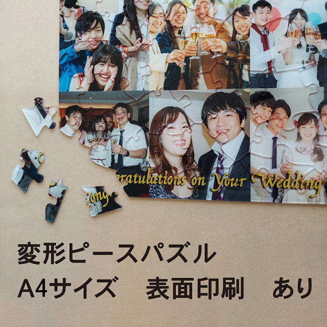 変形ピース アクリルジグソーパズル A4判