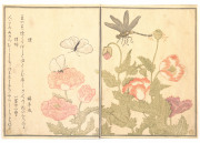 喜多川歌麿 絵本虫撰