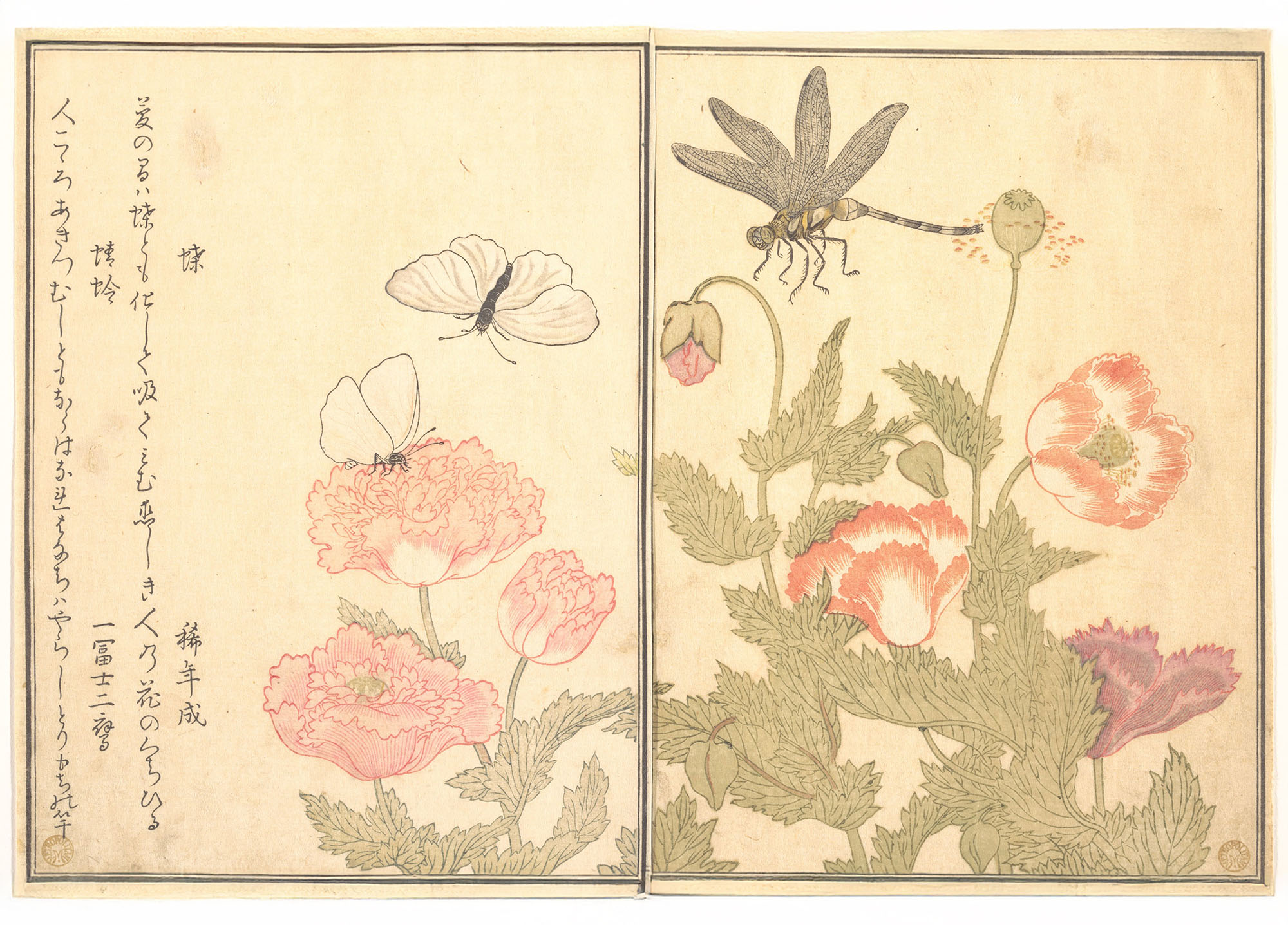 喜多川歌麿 絵本虫撰