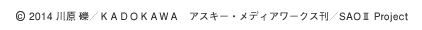 SAOCOPY1