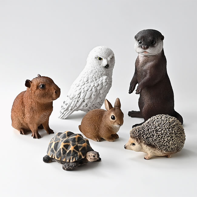 PET BANK