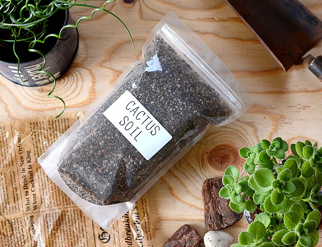 CACTUS SOIL（多肉植物培養土）