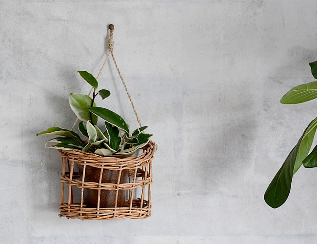 アラログ ウォールバスケット