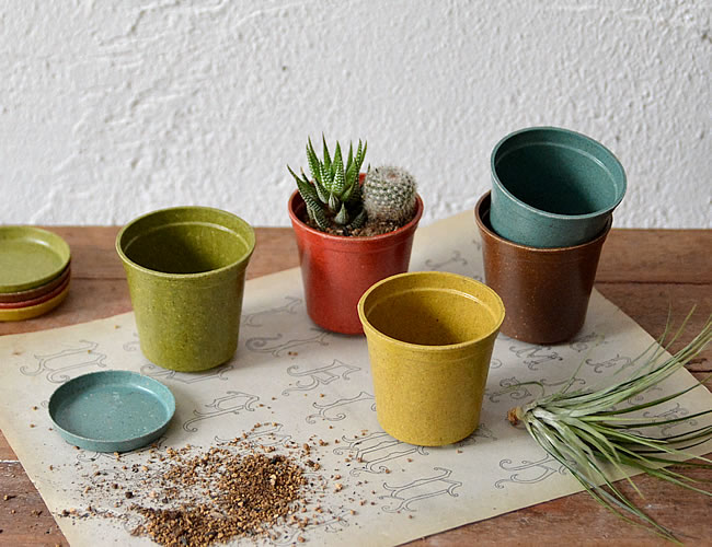 エコフォームズ グロワー 6