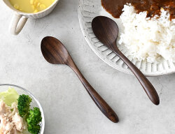 ターミナリア カレースプーン *