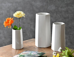 THE VASE