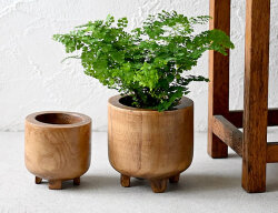 ダーシャ ウッドポット