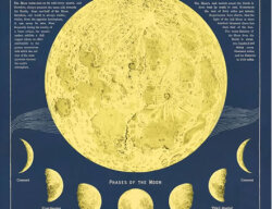 Cavallini & Co. ポスター ムーンチャート