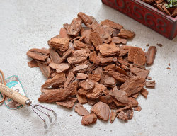 バークチップ S