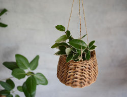 アラログ ハンギングバスケット