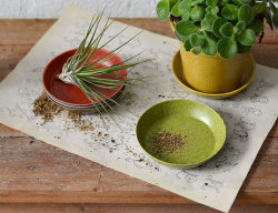 エコフォームズ ソーサー 9cm