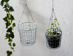 ヴィス ハンギングバスケット