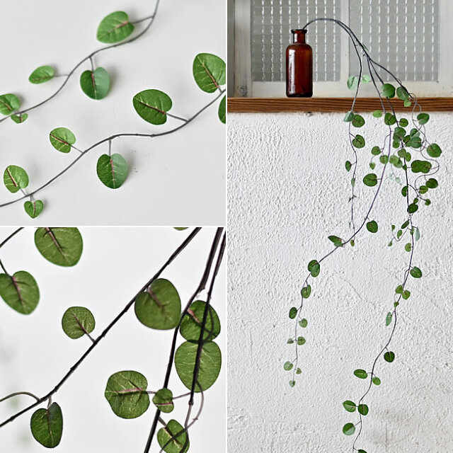 ワイヤープランツ ゼネラルストア オルネ