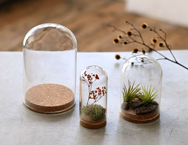 ガラスドーム with コルク | ゼネラルストア オルネ
