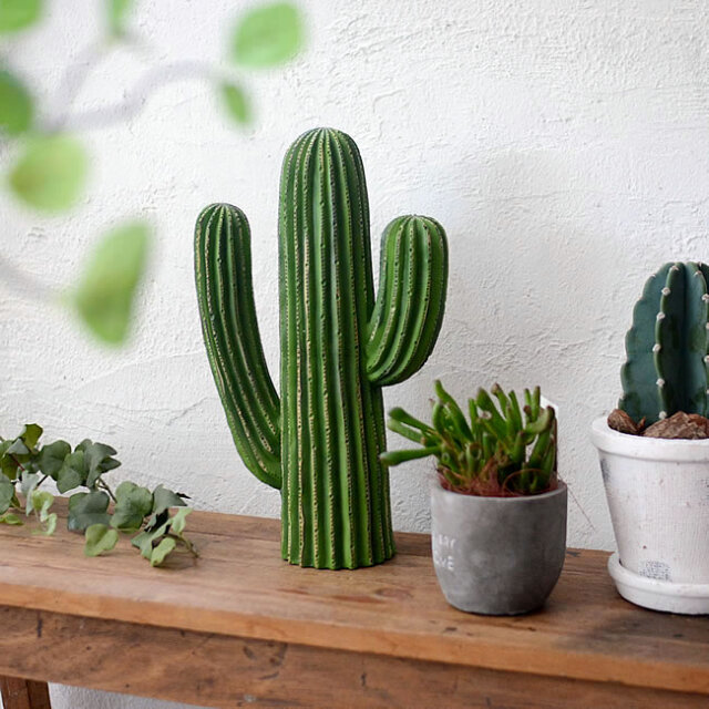 CACTUS スタンドオブジェ｜ゼネラルストア オルネ