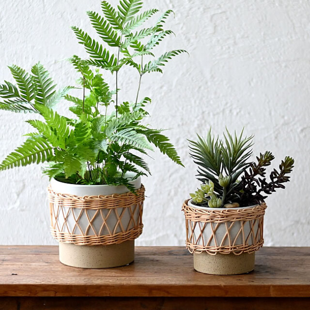 イーネス ポット | ゼネラルストア オルネ