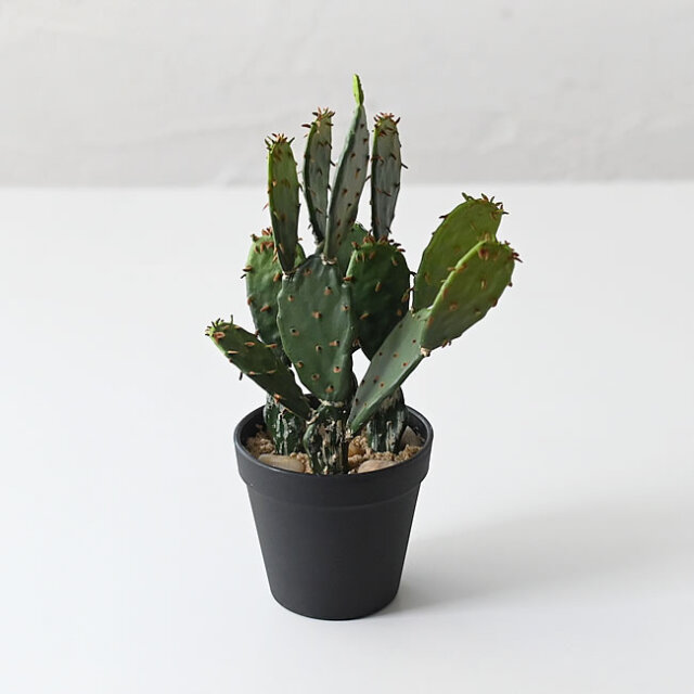 サボテン order made 齋藤さま専用 | SABOTEN MISSILE