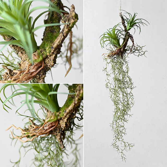 金属製　鉄錆　ジャンクガーデン　エアプランツ　着生板　スタンド　インダストリアル 金属製 鉄錆 ジャンクガーデン エアプランツ 着生板 スタンド