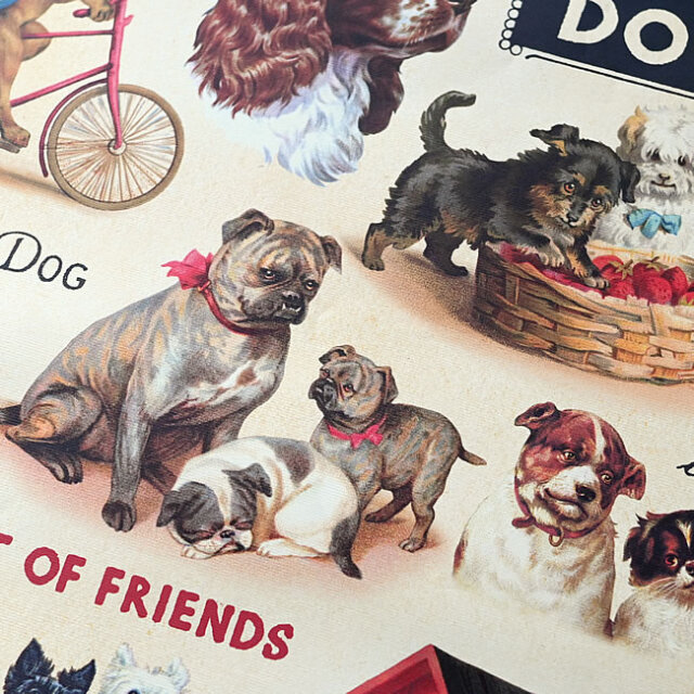 Cavallini & Co. ドッグ ポスター 犬柄 50×70cm ｜ ゼネラルストア オルネ
