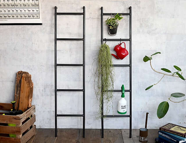 IRON ディスプレイラダー | ゼネラルストア オルネ