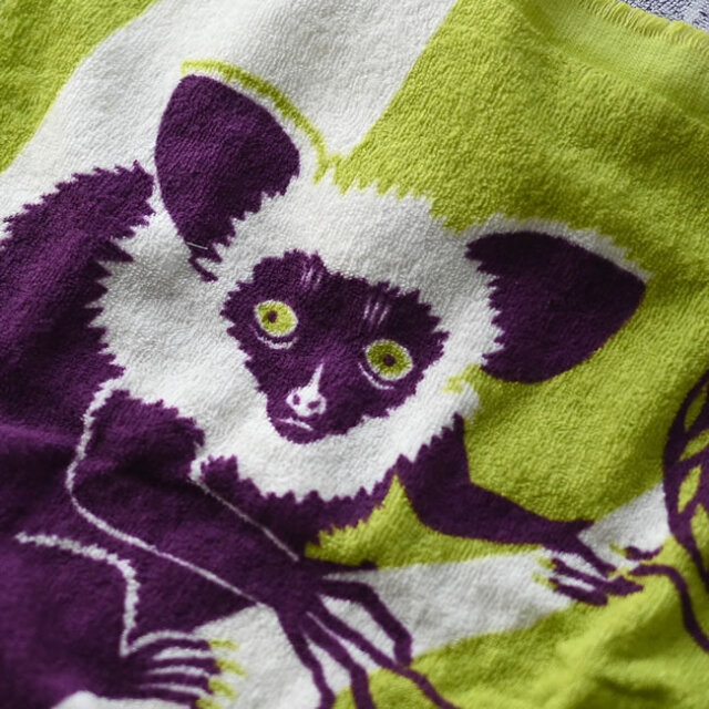 森の動物を描いた morita MiW 今治タオルてぬぐい ｜ ゼネラルストア