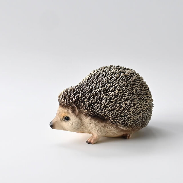 PET BANK