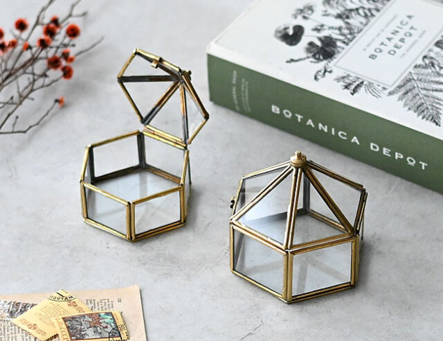 ガラスケース 2サイズセット コルクベース 各10個 ガラスケース 2