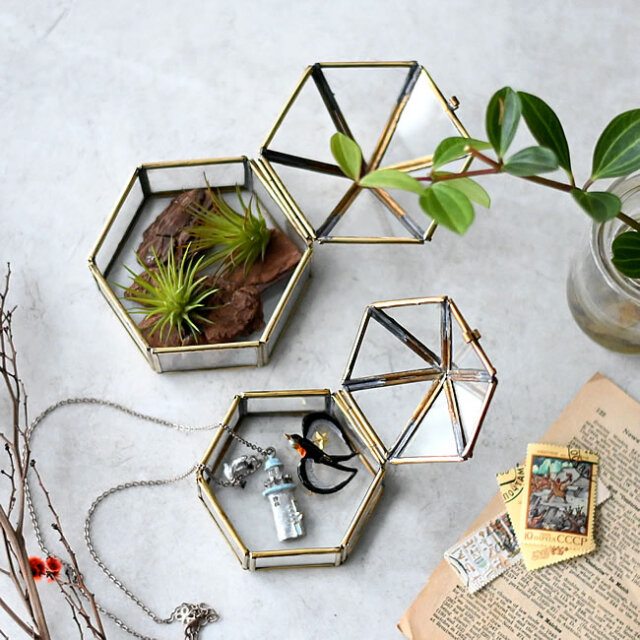 ガラスケース 2サイズセット コルクベース　各10個 ガラスケース 2サイズセット コルクベース 各10個