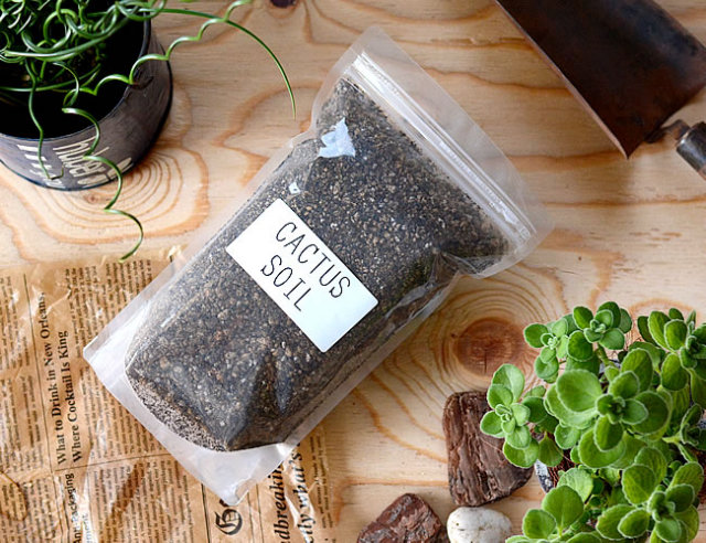 Cactus Soil 多肉植物培養土 ナチュラルインテリア 生活雑貨の通信販売 ゼネラルストア オルネ