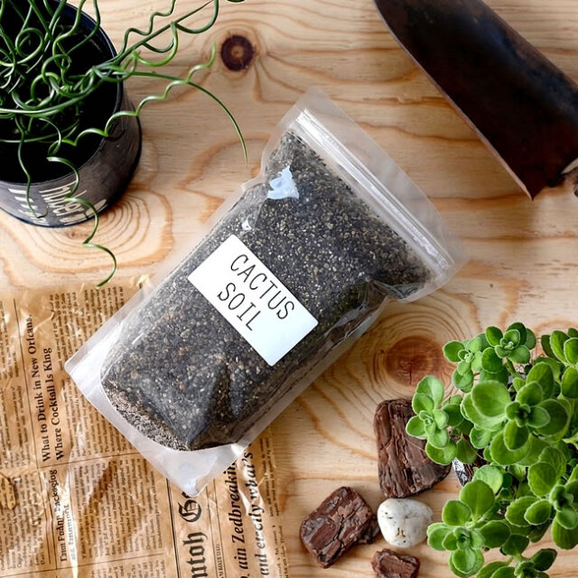 CACTUS SOIL（多肉植物培養土）
