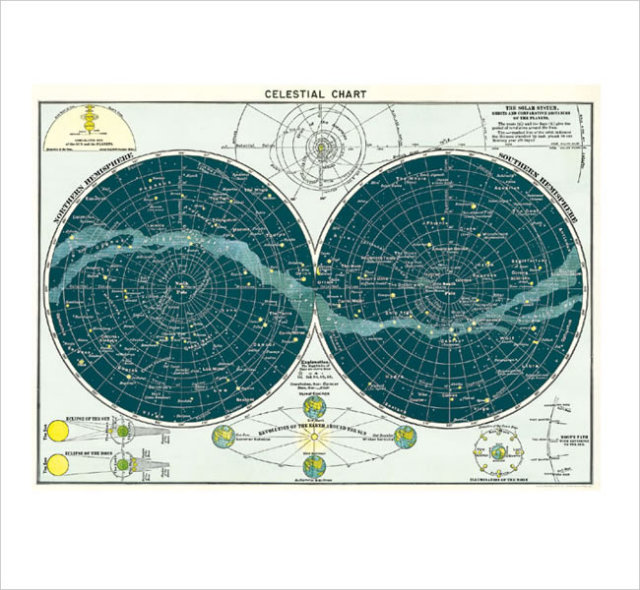Cavallini & Co. ポスター 天体 ナチュラルインテリア 生活雑貨の通信
