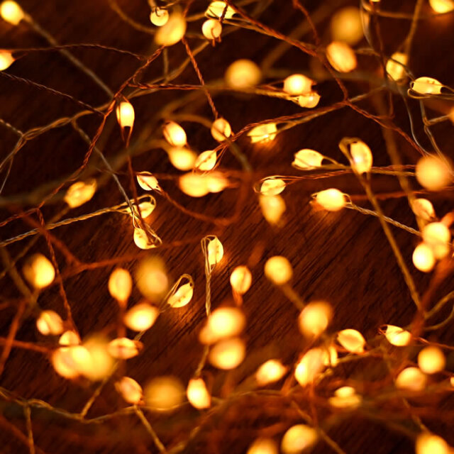 LED ワイヤー イルミネーション | ゼネラルストア オルネ