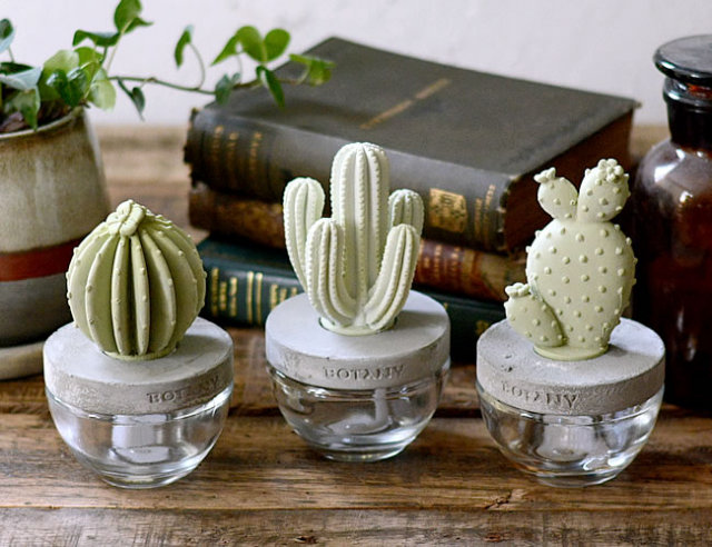 CACTUS フレグランスディフューザー ナチュラルインテリア 生活雑貨の