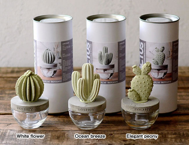 CACTUS フレグランスディフューザー ナチュラルインテリア 生活雑貨の